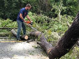 Best Storm Damage Tree Cleanup  in Mocksville, NC