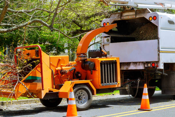Best Stump Grinding and Removal  in Mocksville, NC